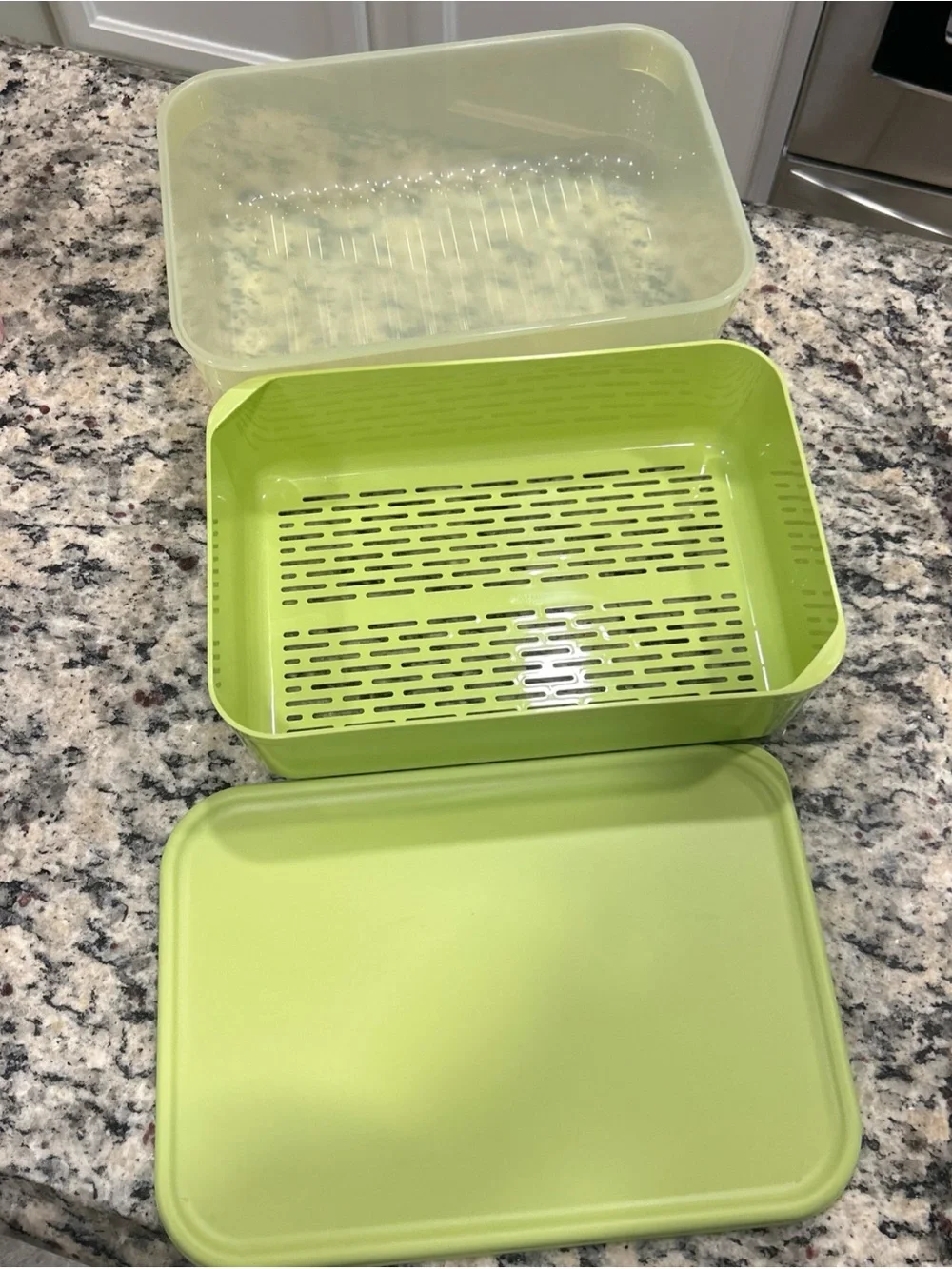 Lock N Lock Lime Green Produce Draining Storage Container with Lid